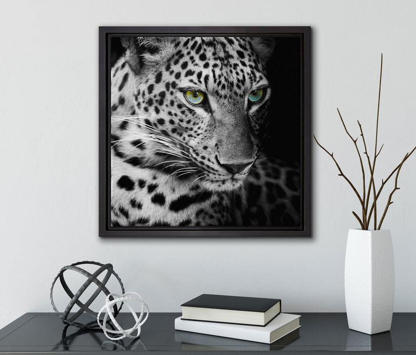 Leopardenkopf  auf Leinwandbild Quadratisch gerahmt mit Kirschblüten