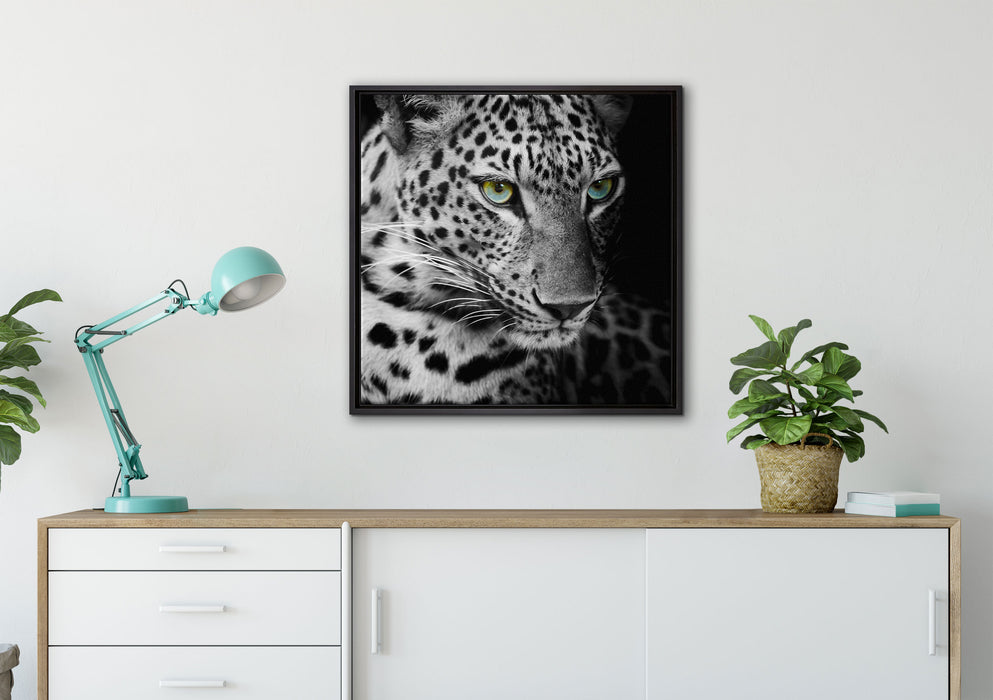 Leopardenkopf auf Leinwandbild gerahmt Quadratisch verschiedene Größen im Wohnzimmer