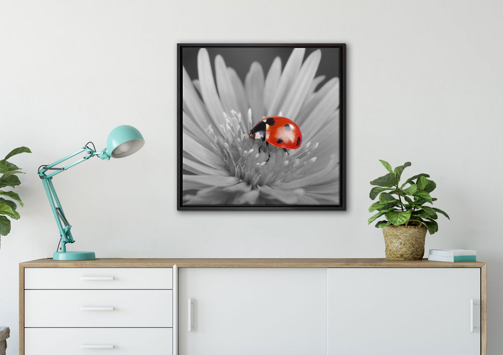 leuchtender Marienkäfer auf Blüte auf Leinwandbild gerahmt Quadratisch verschiedene Größen im Wohnzimmer