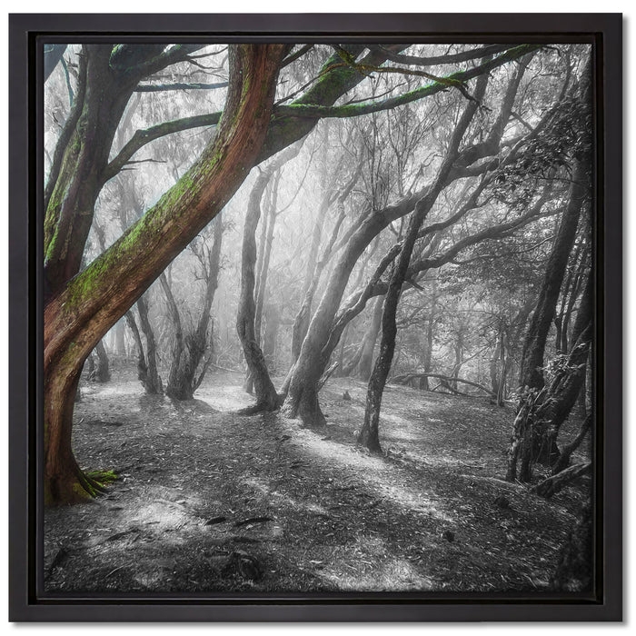 einsamer Baum in tristem Grau auf Leinwandbild Quadratisch gerahmt Größe 40x40