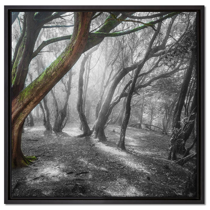 einsamer Baum in tristem Grau auf Leinwandbild Quadratisch gerahmt Größe 60x60