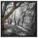 einsamer Baum in tristem Grau auf Leinwandbild Quadratisch gerahmt Größe 60x60