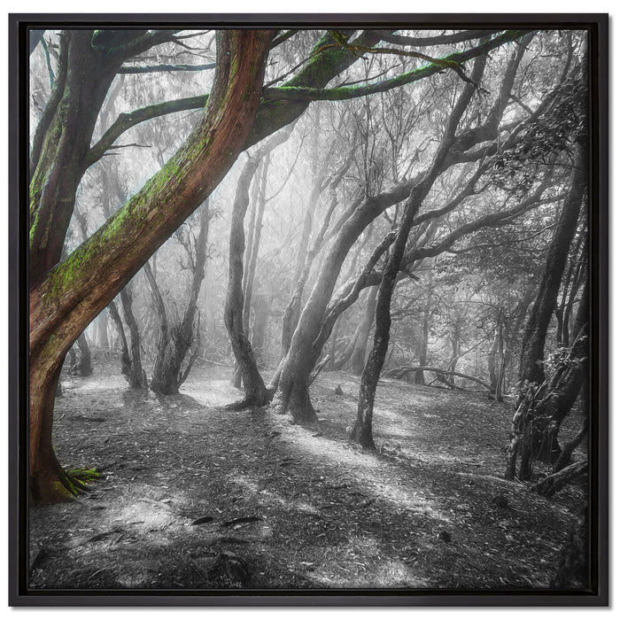 einsamer Baum in tristem Grau auf Leinwandbild Quadratisch gerahmt Größe 70x70