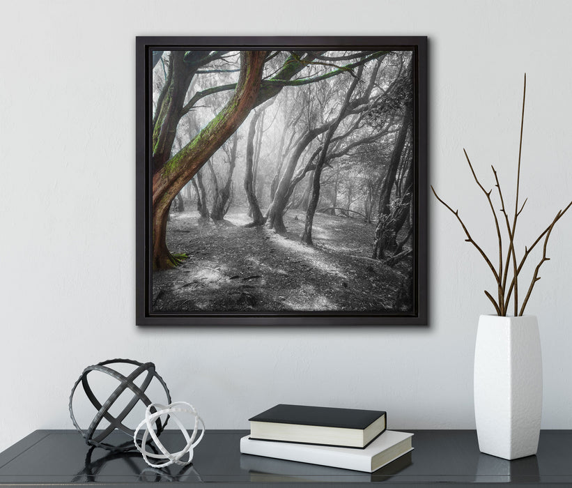 einsamer Baum in tristem Grau  auf Leinwandbild Quadratisch gerahmt mit Kirschblüten