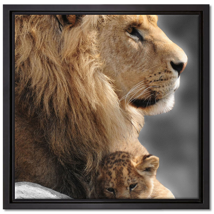 Löwe mit Löwenbaby auf Leinwandbild Quadratisch gerahmt Größe 40x40