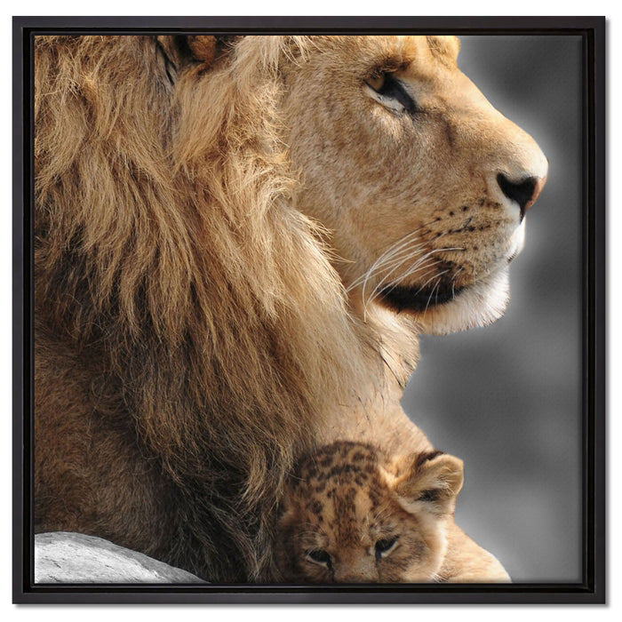 Löwe mit Löwenbaby auf Leinwandbild Quadratisch gerahmt Größe 60x60
