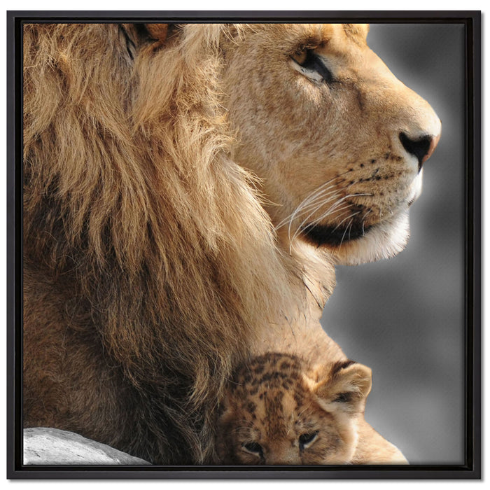 Löwe mit Löwenbaby auf Leinwandbild Quadratisch gerahmt Größe 70x70