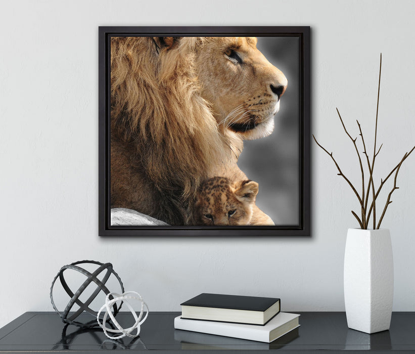 Löwe mit Löwenbaby  auf Leinwandbild Quadratisch gerahmt mit Kirschblüten