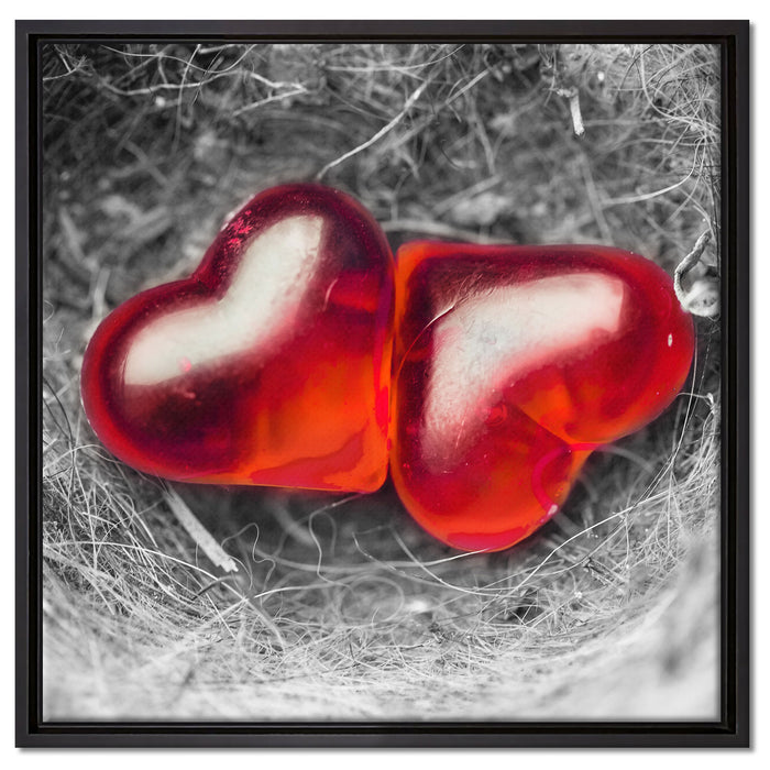 zwei Herzen in kleinem Nest auf Leinwandbild Quadratisch gerahmt Größe 60x60