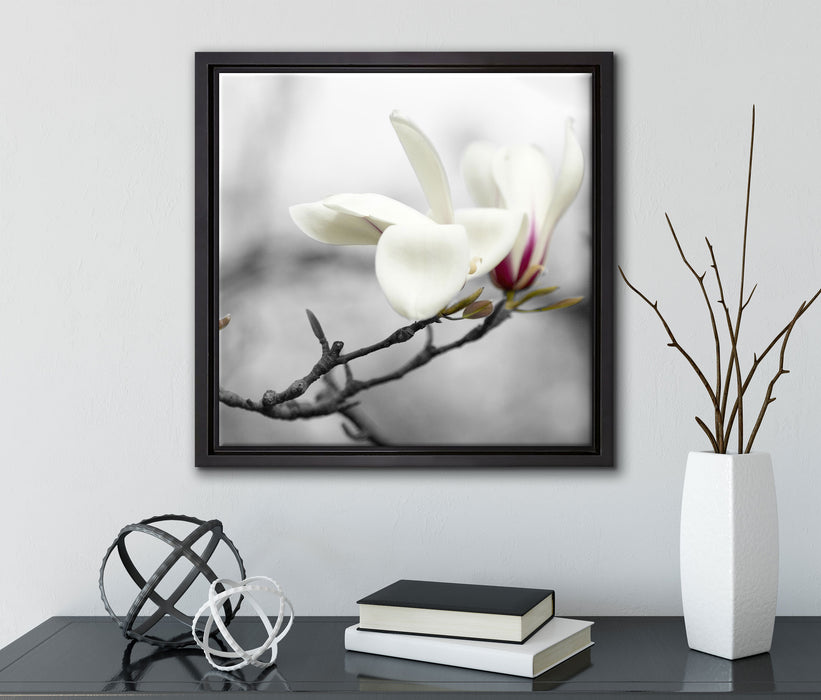 Magnolienblüten  auf Leinwandbild Quadratisch gerahmt mit Kirschblüten