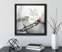 Magnolienblüten  auf Leinwandbild Quadratisch gerahmt mit Kirschblüten