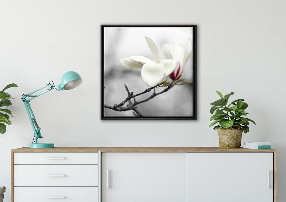 Magnolienblüten auf Leinwandbild gerahmt Quadratisch verschiedene Größen im Wohnzimmer