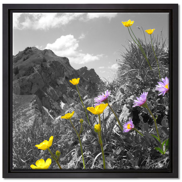 Blumenwiese im Frühling auf Leinwandbild Quadratisch gerahmt Größe 40x40