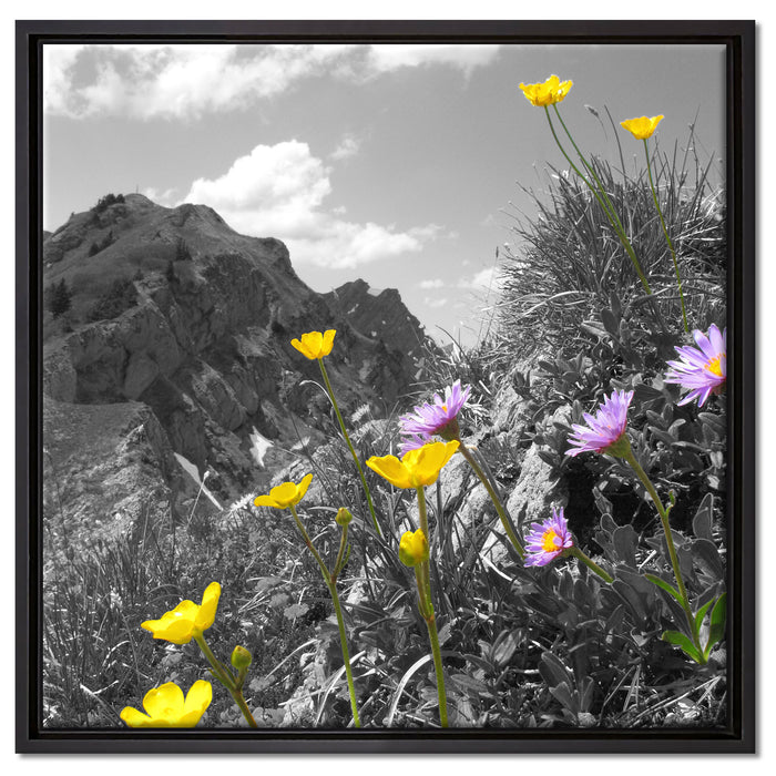Blumenwiese im Frühling auf Leinwandbild Quadratisch gerahmt Größe 60x60