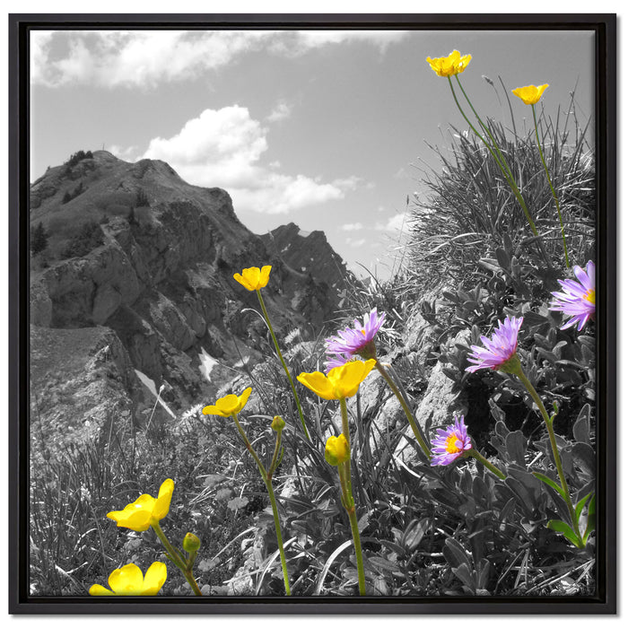 Blumenwiese im Frühling auf Leinwandbild Quadratisch gerahmt Größe 70x70