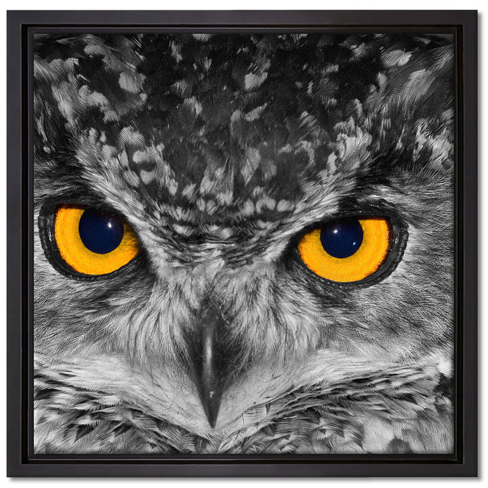 Eule mit Augen auf Leinwandbild Quadratisch gerahmt Größe 40x40