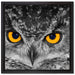 Eule mit Augen auf Leinwandbild Quadratisch gerahmt Größe 40x40