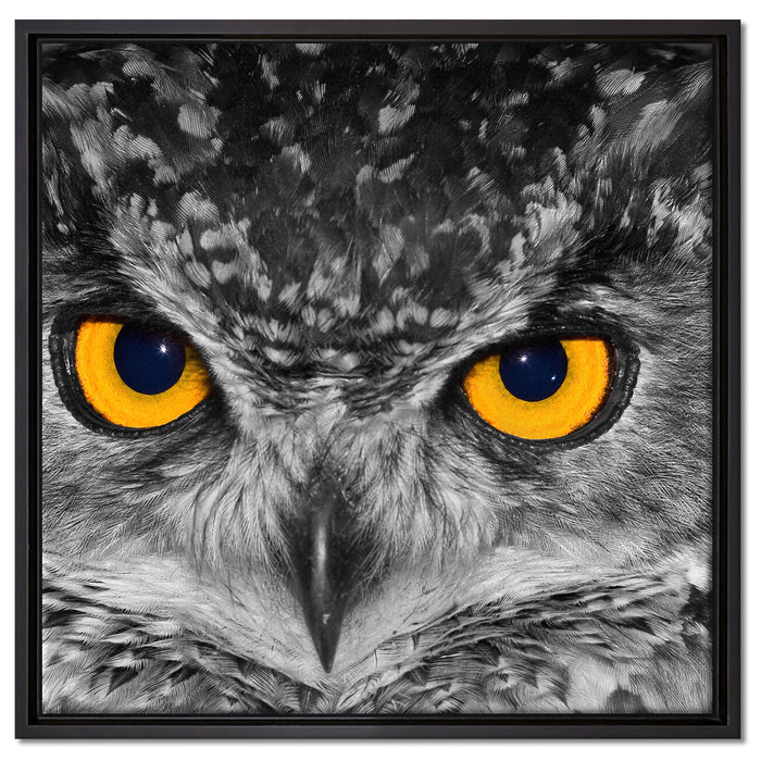 Eule mit Augen auf Leinwandbild Quadratisch gerahmt Größe 60x60