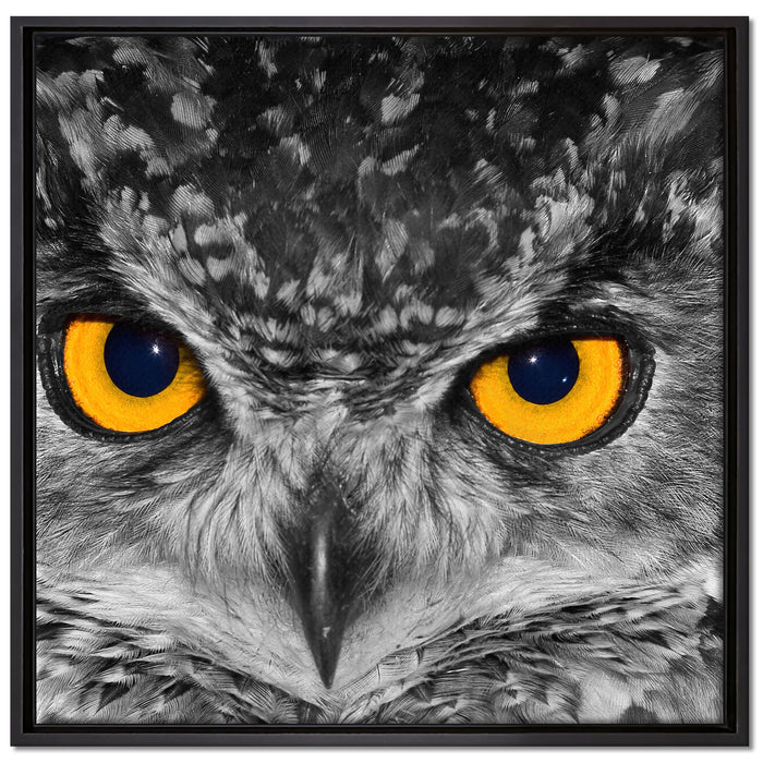 Eule mit Augen auf Leinwandbild Quadratisch gerahmt Größe 70x70