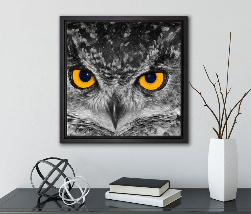 Eule mit Augen  auf Leinwandbild Quadratisch gerahmt mit Kirschblüten