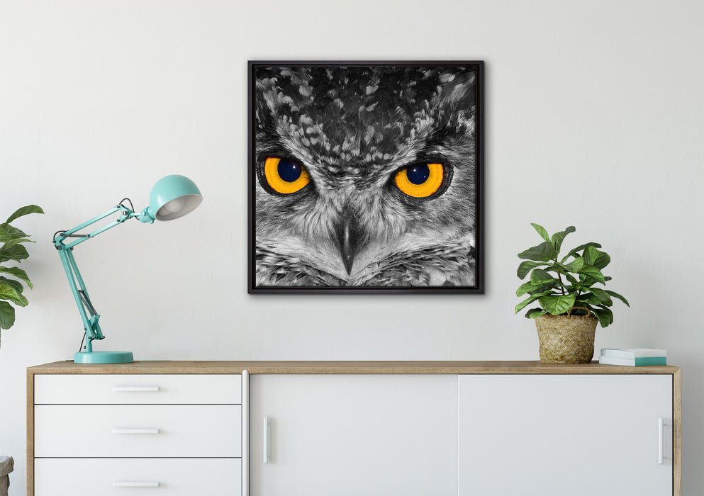 Eule mit Augen auf Leinwandbild gerahmt Quadratisch verschiedene Größen im Wohnzimmer