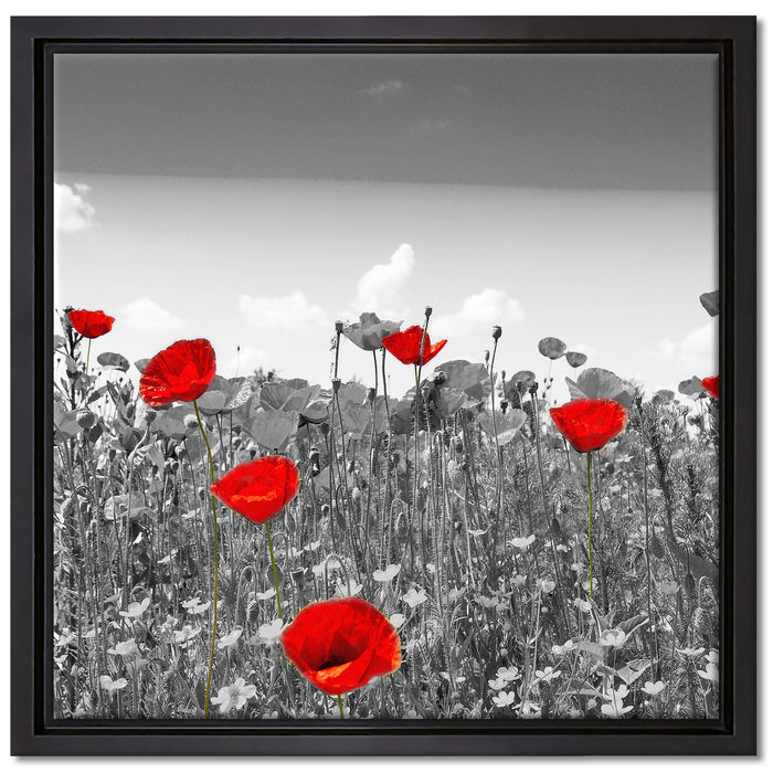schöner rot leuchtender Mohn auf Leinwandbild Quadratisch gerahmt Größe 40x40