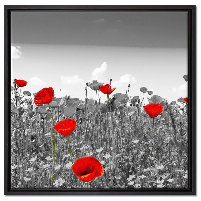 schöner rot leuchtender Mohn auf Leinwandbild Quadratisch gerahmt Größe 60x60