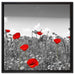 schöner rot leuchtender Mohn auf Leinwandbild Quadratisch gerahmt Größe 60x60