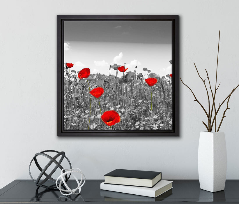 schöner rot leuchtender Mohn  auf Leinwandbild Quadratisch gerahmt mit Kirschblüten