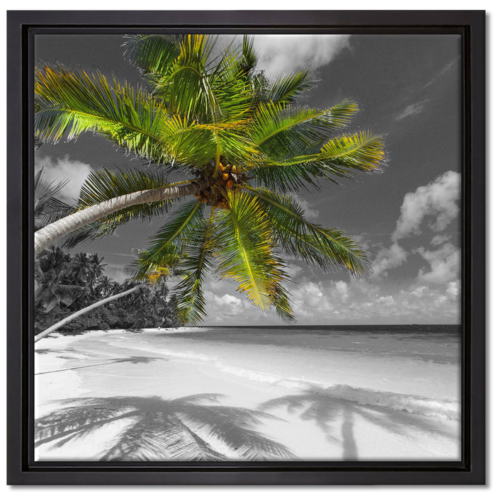 riesige Palme über Strand auf Leinwandbild Quadratisch gerahmt Größe 40x40