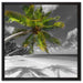 riesige Palme über Strand auf Leinwandbild Quadratisch gerahmt Größe 60x60