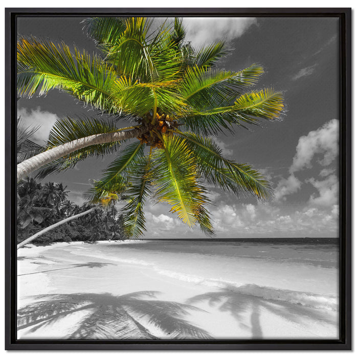 riesige Palme über Strand auf Leinwandbild Quadratisch gerahmt Größe 70x70