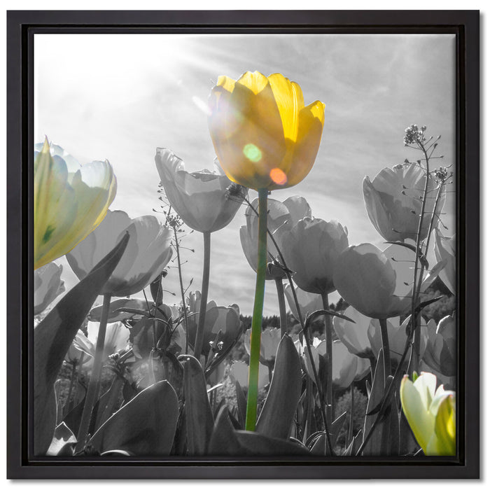 wunderschöne Tulpenwiese auf Leinwandbild Quadratisch gerahmt Größe 40x40