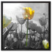 wunderschöne Tulpenwiese auf Leinwandbild Quadratisch gerahmt Größe 60x60