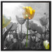 wunderschöne Tulpenwiese auf Leinwandbild Quadratisch gerahmt Größe 70x70
