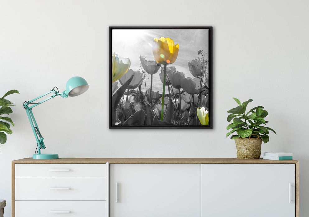 wunderschöne Tulpenwiese auf Leinwandbild gerahmt Quadratisch verschiedene Größen im Wohnzimmer