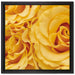 Blumen Rosen auf Leinwandbild Quadratisch gerahmt Größe 40x40