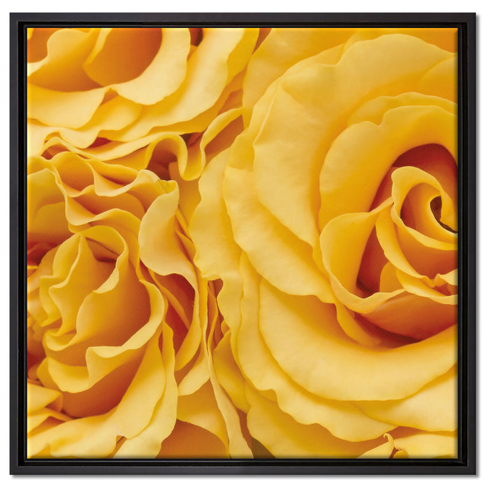 Blumen Rosen auf Leinwandbild Quadratisch gerahmt Größe 60x60
