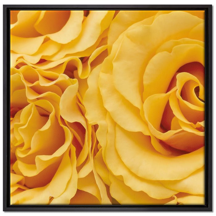 Blumen Rosen auf Leinwandbild Quadratisch gerahmt Größe 70x70