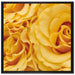 Blumen Rosen auf Leinwandbild Quadratisch gerahmt Größe 70x70