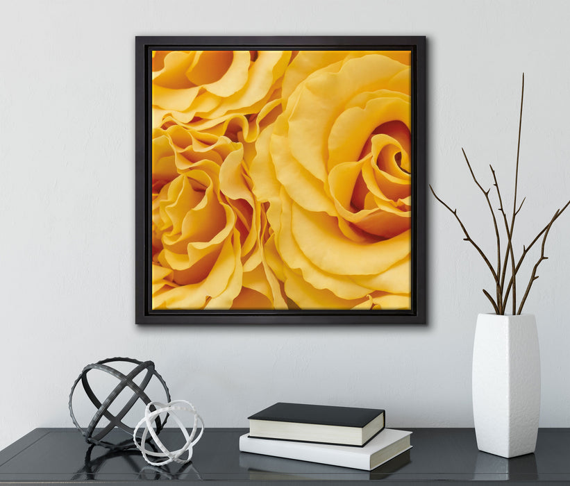 Blumen Rosen  auf Leinwandbild Quadratisch gerahmt mit Kirschblüten