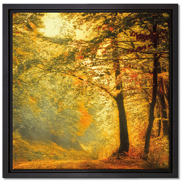 Wald im Herbst auf Leinwandbild Quadratisch gerahmt Größe 40x40