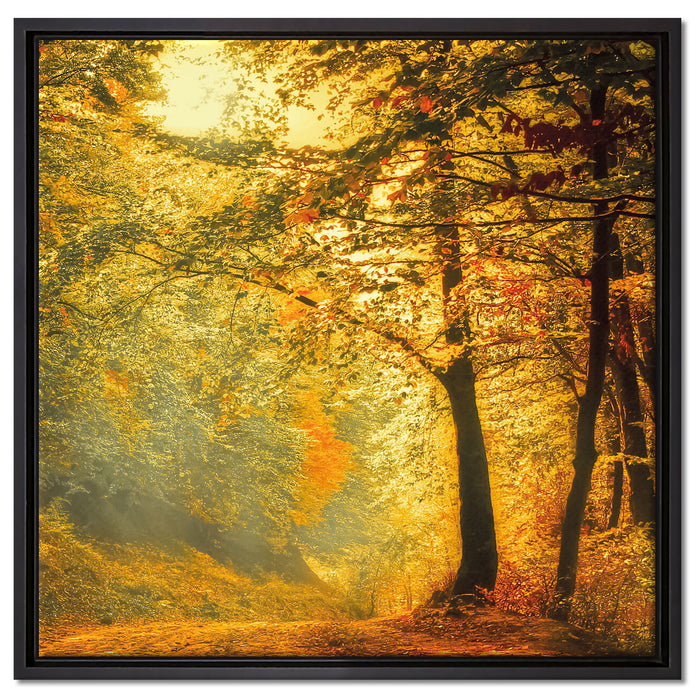 Wald im Herbst auf Leinwandbild Quadratisch gerahmt Größe 60x60