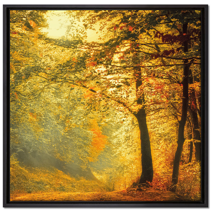Wald im Herbst auf Leinwandbild Quadratisch gerahmt Größe 70x70