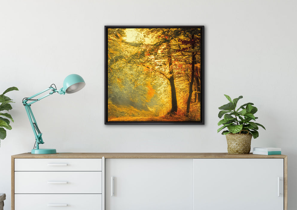 Wald im Herbst auf Leinwandbild gerahmt Quadratisch verschiedene Größen im Wohnzimmer