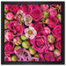 Rosa Rote Rosen auf Leinwandbild Quadratisch gerahmt Größe 40x40