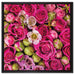 Rosa Rote Rosen auf Leinwandbild Quadratisch gerahmt Größe 60x60