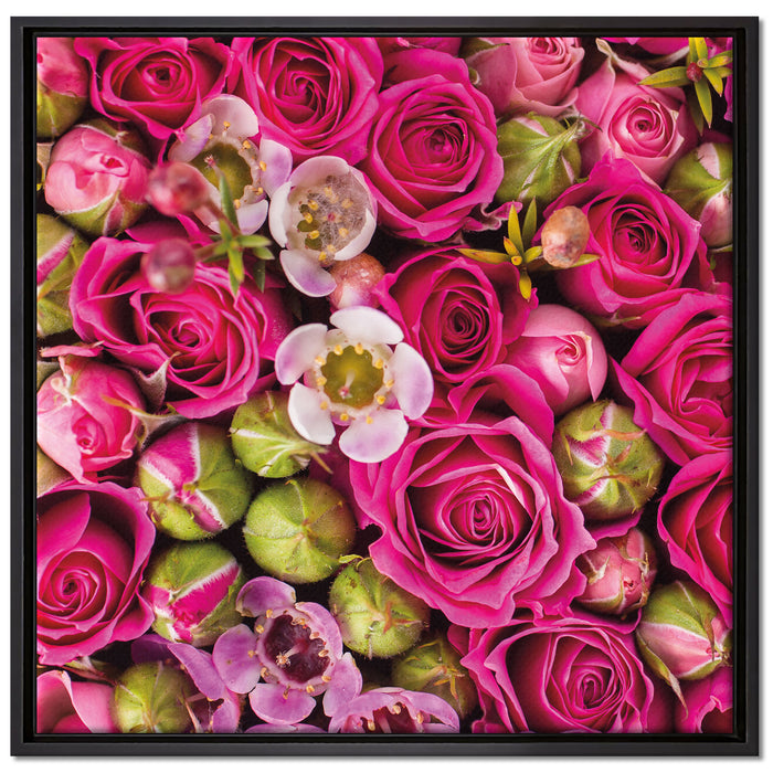 Rosa Rote Rosen auf Leinwandbild Quadratisch gerahmt Größe 70x70