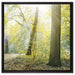 Sonnenstrahlen auf Waldlichtung auf Leinwandbild Quadratisch gerahmt Größe 60x60