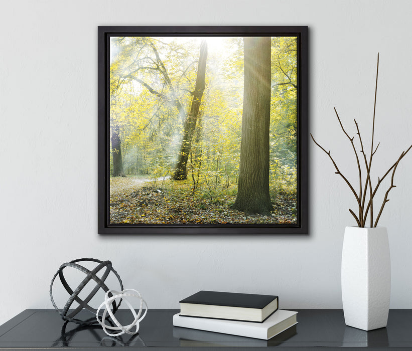 Sonnenstrahlen auf Waldlichtung  auf Leinwandbild Quadratisch gerahmt mit Kirschblüten